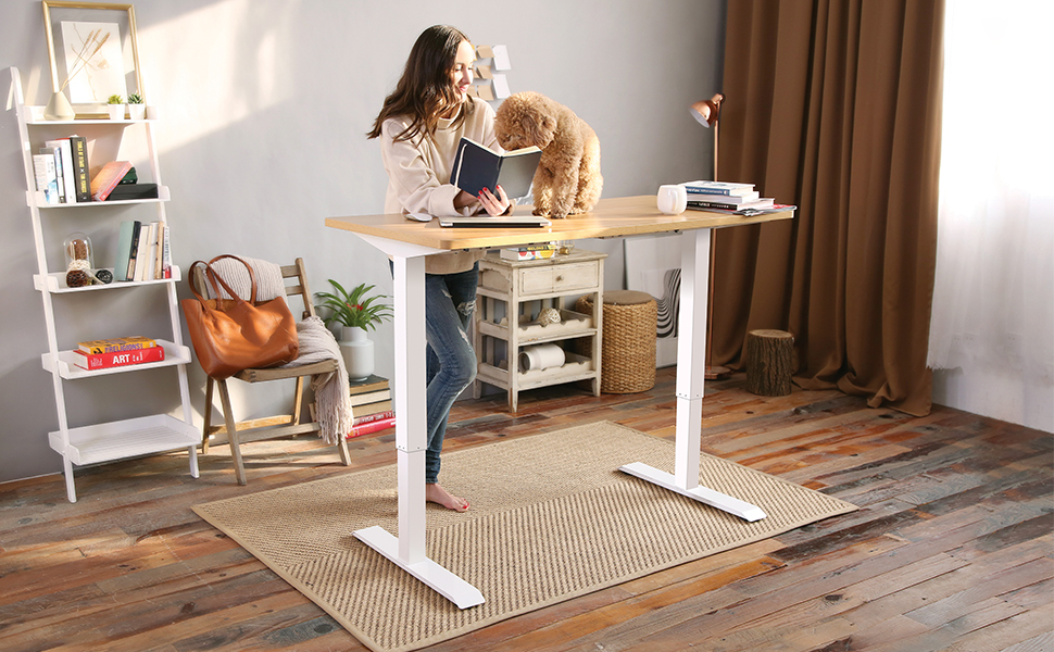 Why Is Height Adjustable Desk Gaining Fast Popularity?